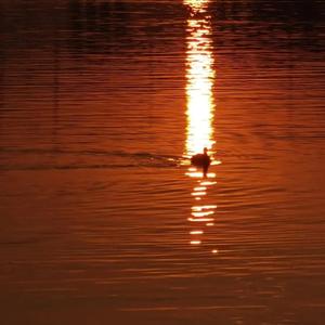 老师脱了裙子让我喝她尿
